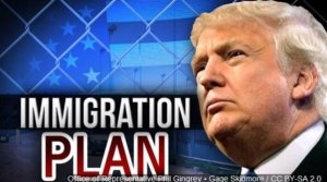 merit-based-immigration-system
